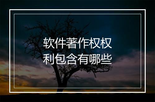 软件著作权权利包含有哪些