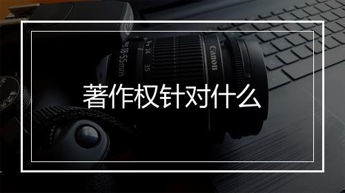 著作权针对什么