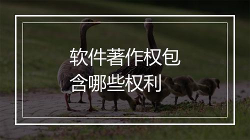软件著作权包含哪些权利