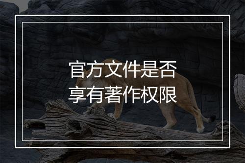 官方文件是否享有著作权限