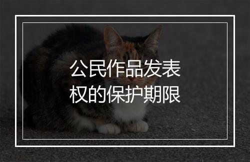 公民作品发表权的保护期限