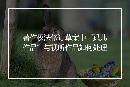 著作权法修订草案中“孤儿作品”与视听作品如何处理