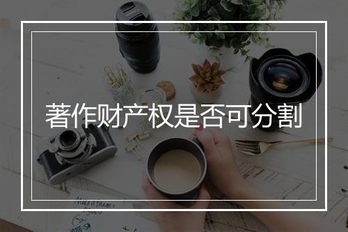 著作财产权是否可分割