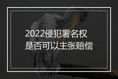 2022侵犯署名权是否可以主张赔偿