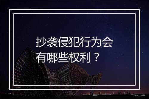抄袭侵犯行为会有哪些权利？