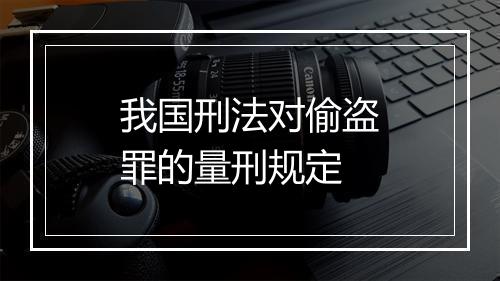 我国刑法对偷盗罪的量刑规定