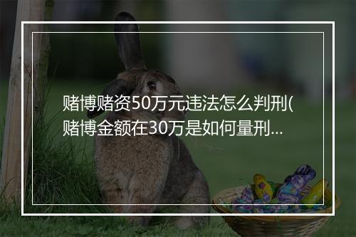 赌博赌资50万元违法怎么判刑(赌博金额在30万是如何量刑)