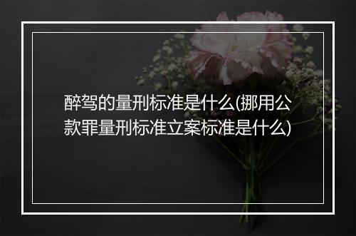 醉驾的量刑标准是什么(挪用公款罪量刑标准立案标准是什么)