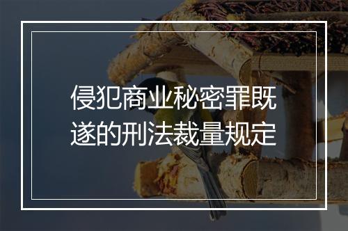 侵犯商业秘密罪既遂的刑法裁量规定