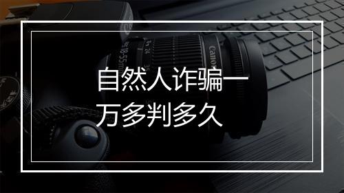 自然人诈骗一万多判多久