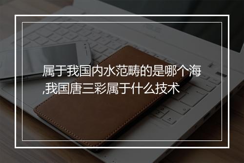属于我国内水范畴的是哪个海,我国唐三彩属于什么技术
