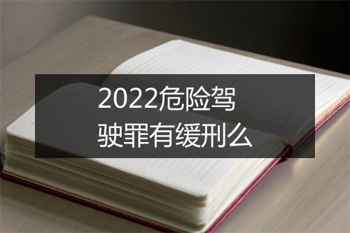 2022危险驾驶罪有缓刑么