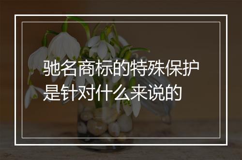 驰名商标的特殊保护是针对什么来说的