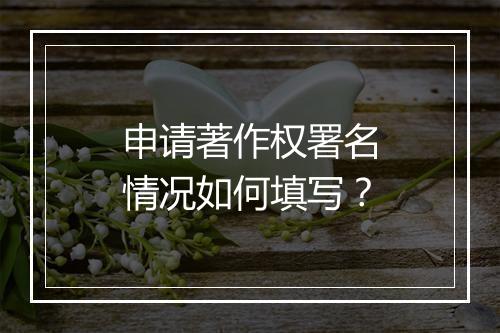 申请著作权署名情况如何填写？