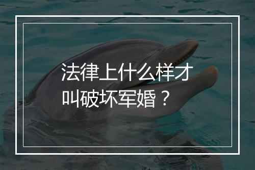 法律上什么样才叫破坏军婚？