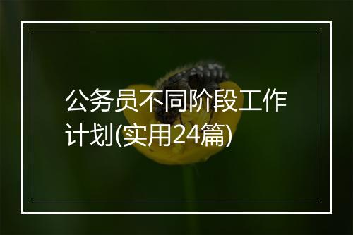 公务员不同阶段工作计划(实用24篇)