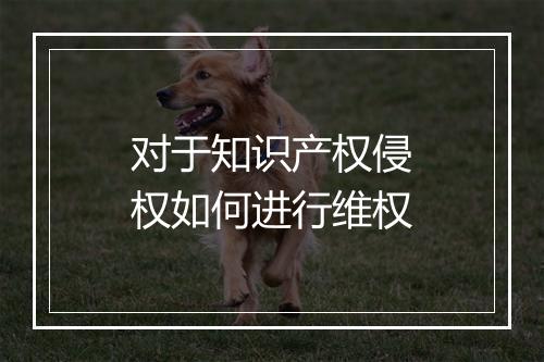 对于知识产权侵权如何进行维权