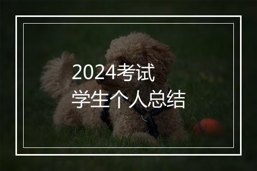 2024考试学生个人总结