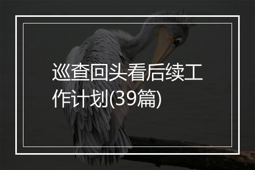 巡查回头看后续工作计划(39篇)