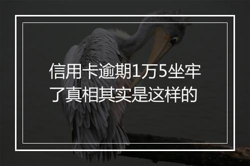 信用卡逾期1万5坐牢了真相其实是这样的
