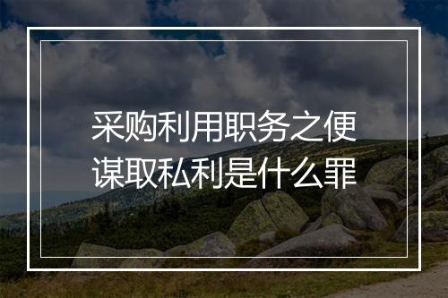 采购利用职务之便谋取私利是什么罪