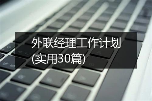 外联经理工作计划(实用30篇)