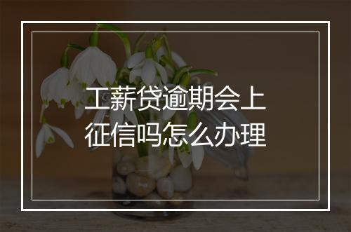 工薪贷逾期会上征信吗怎么办理