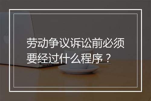 劳动争议诉讼前必须要经过什么程序？