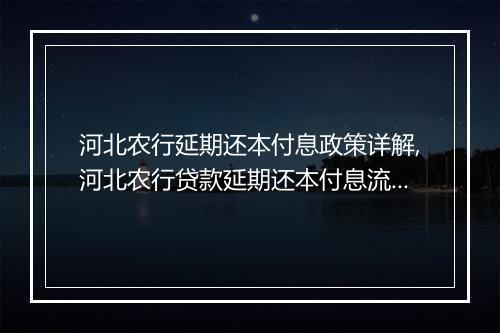 河北农行延期还本付息政策详解,河北农行贷款延期还本付息流程