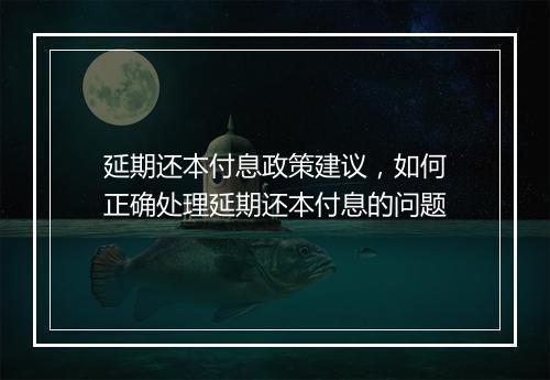 延期还本付息政策建议，如何正确处理延期还本付息的问题