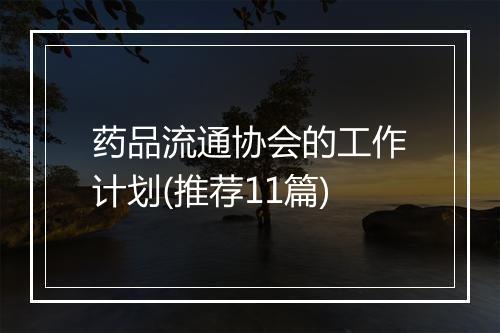 药品流通协会的工作计划(推荐11篇)