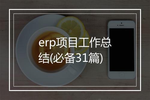 erp项目工作总结(必备31篇)
