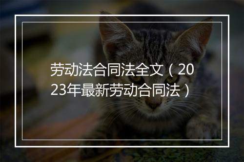 劳动法合同法全文（2023年最新劳动合同法）