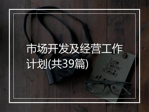 市场开发及经营工作计划(共39篇)