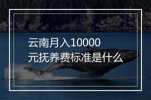 云南月入10000元抚养费标准是什么