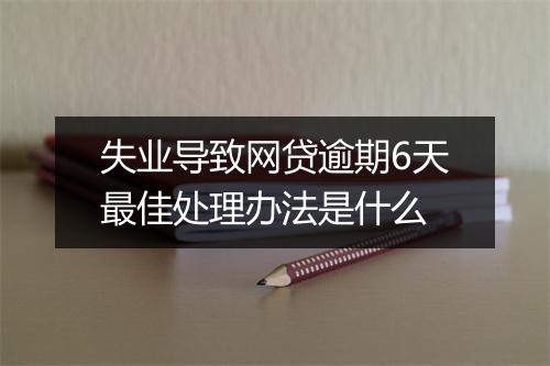 失业导致网贷逾期6天最佳处理办法是什么