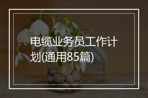 电缆业务员工作计划(通用85篇)