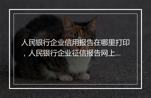 人民银行企业信用报告在哪里打印，人民银行企业征信报告网上查询打印流程是什么