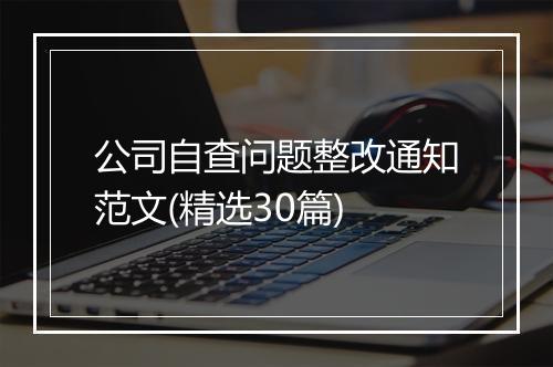 公司自查问题整改通知范文(精选30篇)