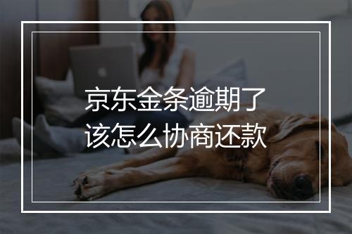 京东金条逾期了该怎么协商还款