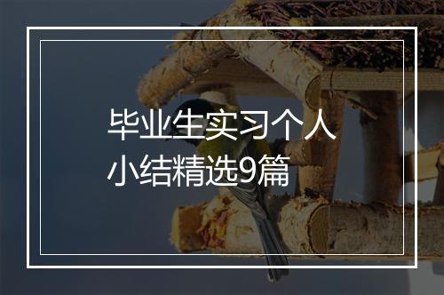 毕业生实习个人小结精选9篇