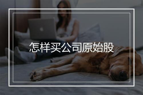 怎样买公司原始股