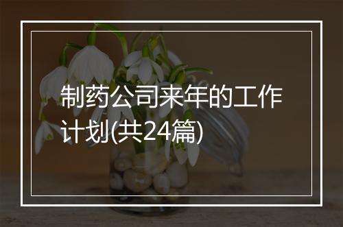 制药公司来年的工作计划(共24篇)