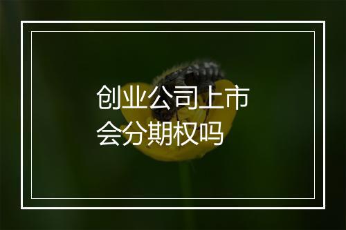创业公司上市会分期权吗