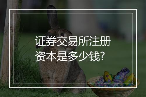 证券交易所注册资本是多少钱?