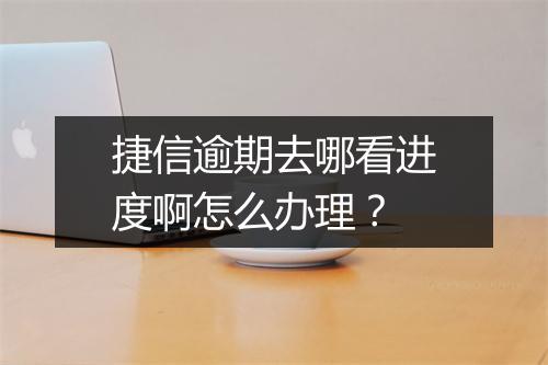 捷信逾期去哪看进度啊怎么办理？