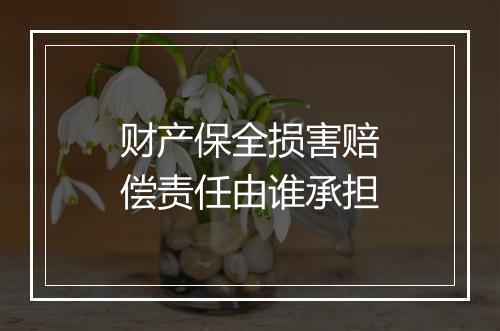 财产保全损害赔偿责任由谁承担
