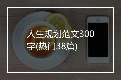 人生规划范文300字(热门38篇)