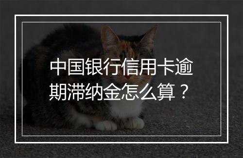 中国银行信用卡逾期滞纳金怎么算？