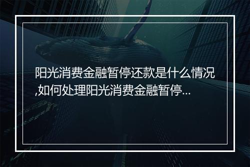 阳光消费金融暂停还款是什么情况,如何处理阳光消费金融暂停还款
